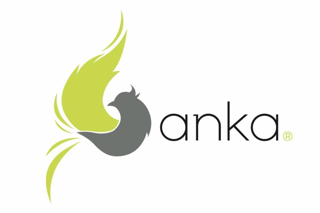 ANKA GLOBAL DEFENCE